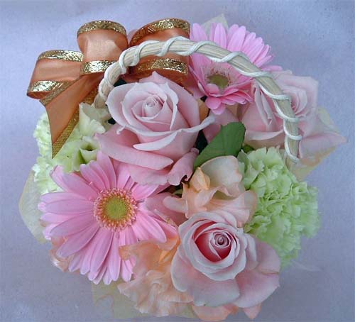 ����ԁ@���ԃA�����W/�X�v�����O�o�X�P�b�g�r